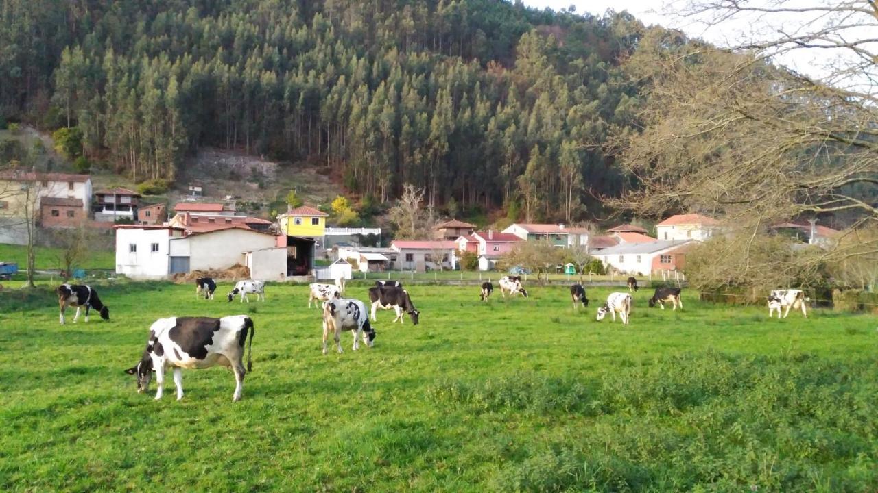 Hotel Casa Vieja Del Sastre Soto de Luiña Eksteriør bilde